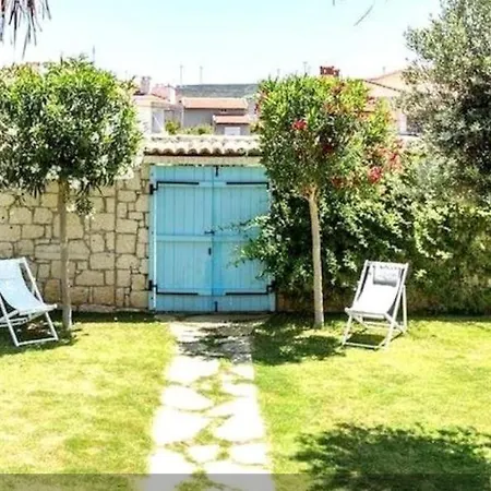 Asma Alacati Çeşme